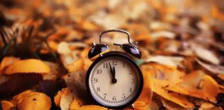 4720259 1 1 080918.jpg