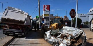 4868983 1024x683.jpg