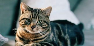 6b08ec22bf1da738508d0ca0a06c4818 L.jpg