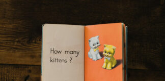 706923fd6ef117eec6bb6fecba699c55 L.jpg