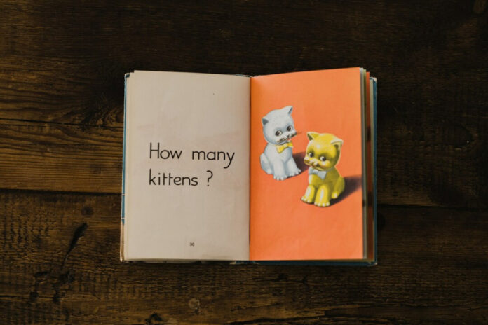 706923fd6ef117eec6bb6fecba699c55 L.jpg