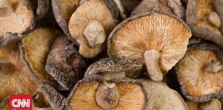 7a4c0a34 shiitake mushrooms devmaryna freepik og.jpg
