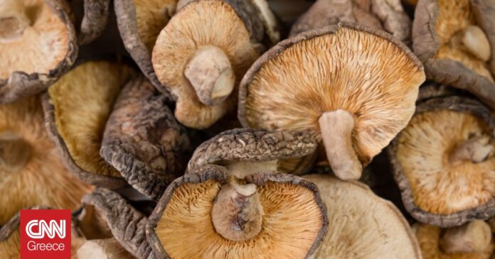 7a4c0a34 shiitake mushrooms devmaryna freepik og.jpg