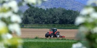 875 71f462ef 0748 4d4a b2d4 c41cb63fc842.jpg