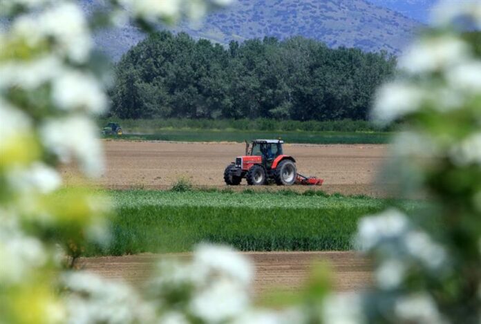 875 71f462ef 0748 4d4a b2d4 c41cb63fc842.jpg