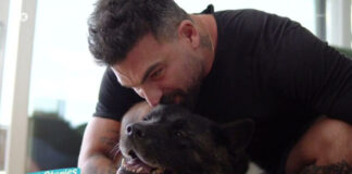 8914cfbc729c4cb66262f60d0f3a0ec0 L.jpg