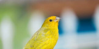 89eac96fbca6d5bc986eac86de77d739 L.jpg