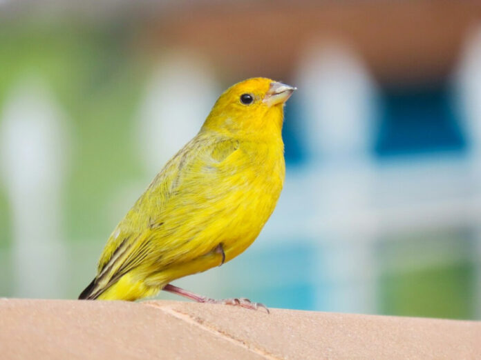 89eac96fbca6d5bc986eac86de77d739 L.jpg