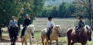 94197b283f531cc4ec6f950c64a78ca5 L.jpg