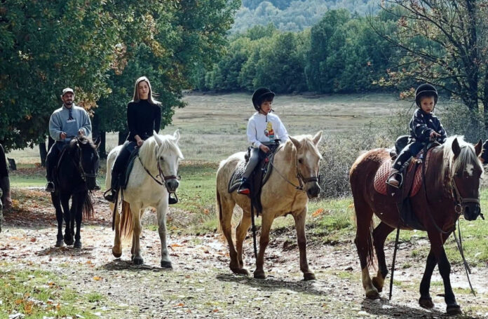 94197b283f531cc4ec6f950c64a78ca5 L.jpg