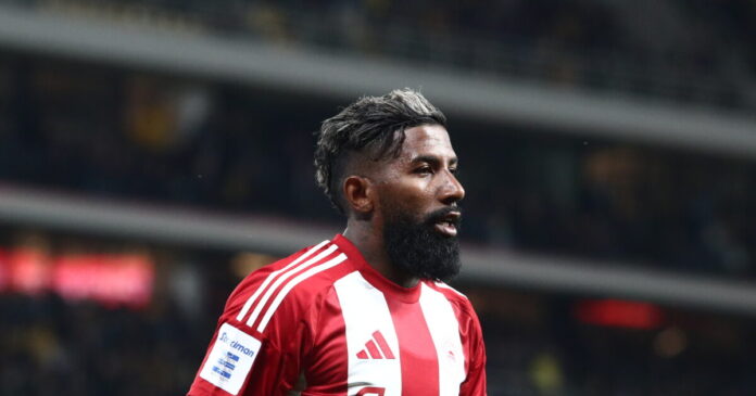 RODINEI 1 1200x630.jpg