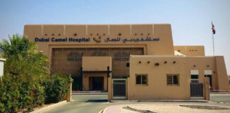 a408c5683aff62a69738d47602d5e56c L.jpg