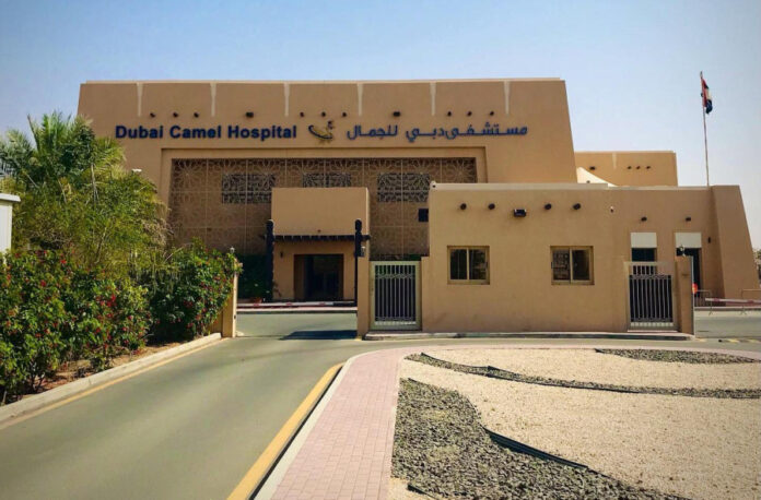 a408c5683aff62a69738d47602d5e56c L.jpg