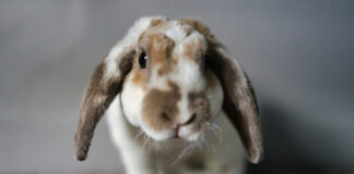 a8a3b505d628041f292369801114d7bb L.jpg