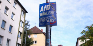 afd germany reuters 1200x630.jpg