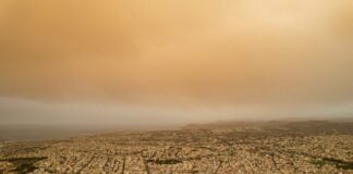 afrikanikh skonh eurok 1200x630.jpg