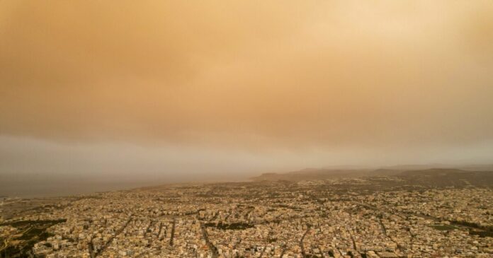 afrikanikh skonh eurok 1200x630.jpg