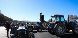 agrotes 1200x630.jpg