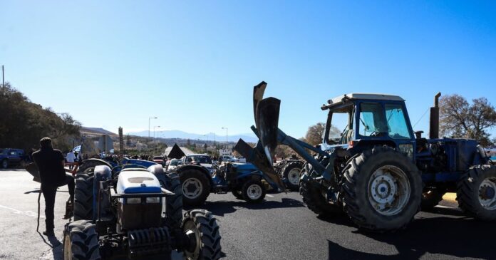 agrotes 1200x630.jpg