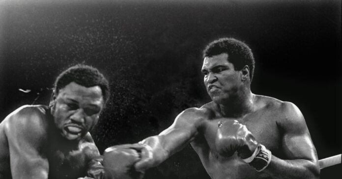 ali frazer 1 1200x630.jpg