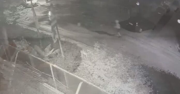 alimos anilikoi 1200x630.jpg