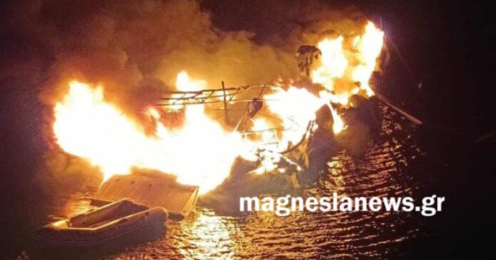 alonnisos fotia 07102025 1200x630.jpg