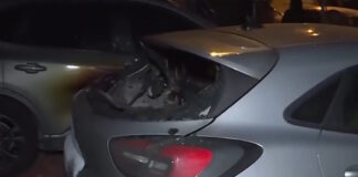 antiprosopeia 1 1200x630.jpg