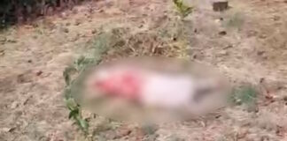 arkouda 1200x630.jpg