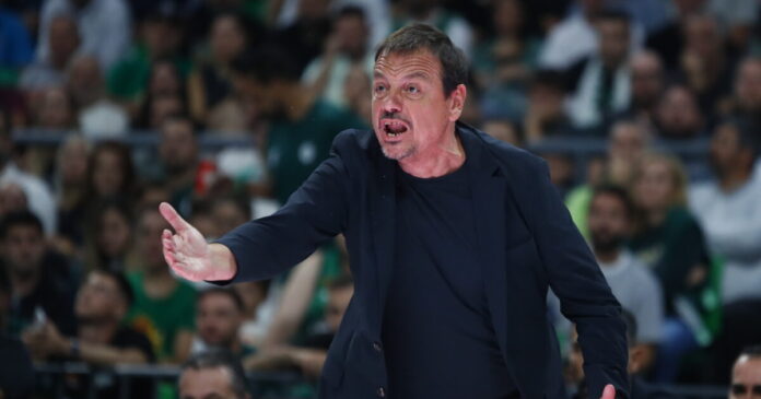 ataman 1 1200x630.jpg