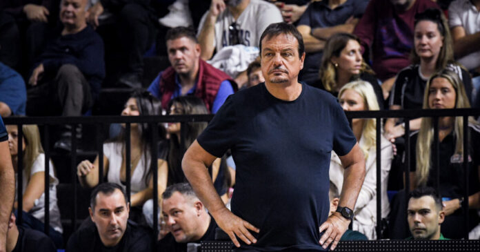 ataman 10 1200x630.jpg