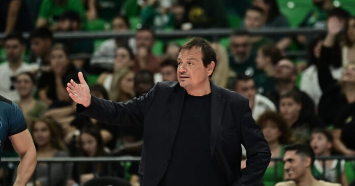 ataman 12 1200x630.jpg