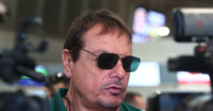 ataman 13 1200x630.jpg