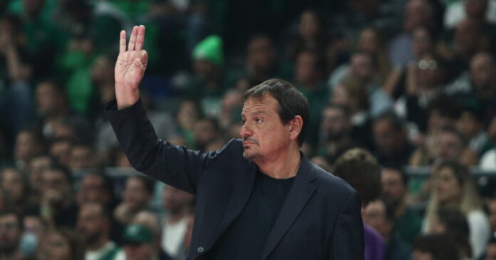 ataman 7 1200x630.jpg