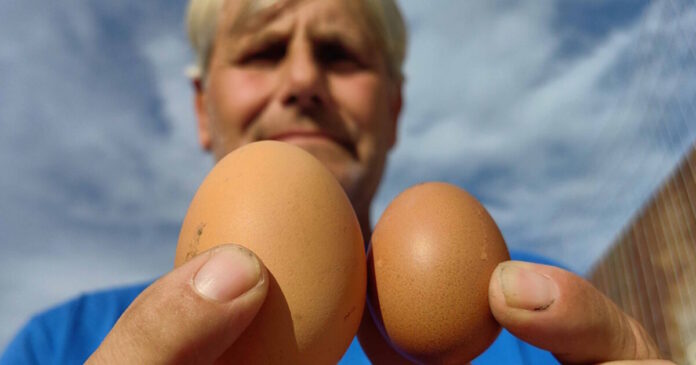 avgo gigas 27102025 1200x630.jpg