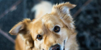 b5ded576aabe0c43195195b67a1b5eac L.jpg