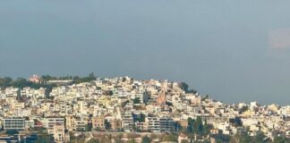 braxyxronia misthwsi 1.jpg