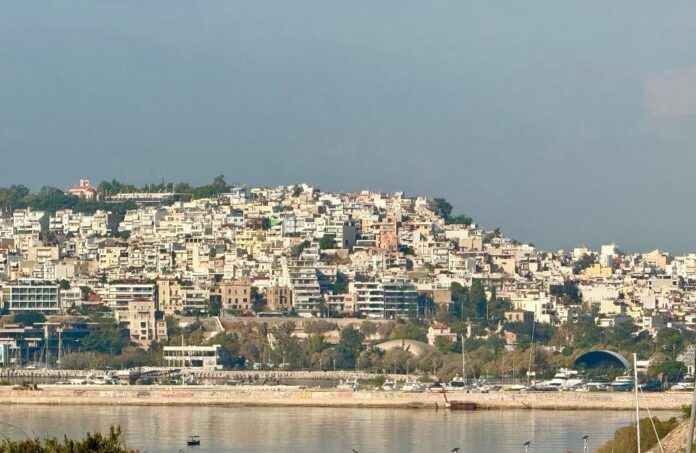 braxyxronia misthwsi 1.jpg