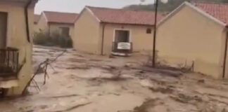 bulgaria fluids 03102025 1200x630.jpg