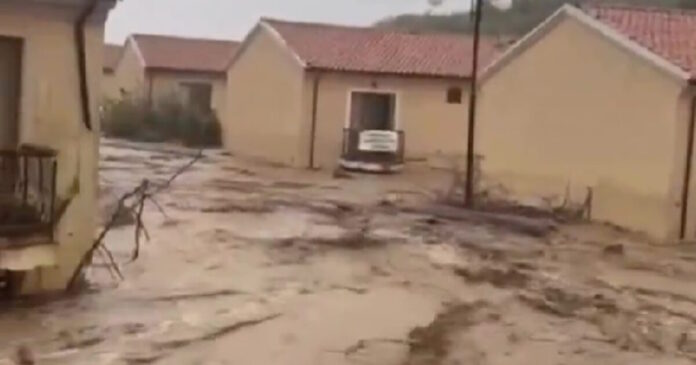 bulgaria fluids 03102025 1200x630.jpg