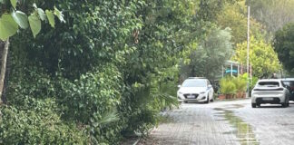 camping foinikounta 1200x630.jpg