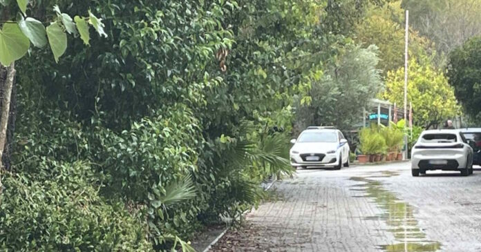 camping foinikounta 1200x630.jpg