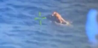 cannary island 1200x630.jpg