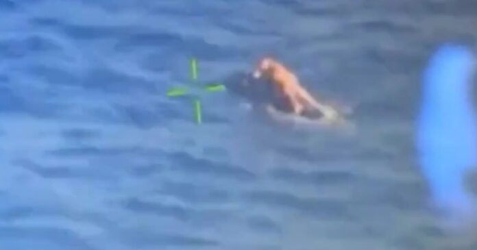 cannary island 1200x630.jpg cannary island 1200x630.jpg