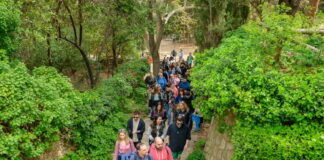 climate walk 1 1200x630.jpg