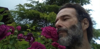 d483a0a893836635e965a01629190b7a L.jpg