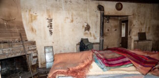 daniel 27102025 1200x630.jpg