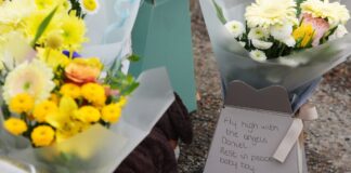 daniel flowers 1200x630.jpg