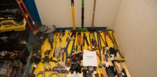 diarriktes 13102025 1200x630.jpg