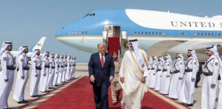 donald trump ape 1200x630.jpg