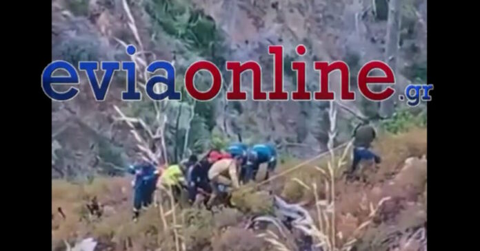 dustuxima euvoia 1200x630.jpg